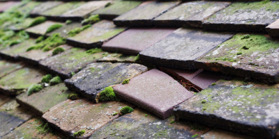 Bancyfelin roof repair costs